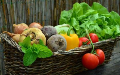 Dieta dr Ewy Dąbrowskiej, czyli warzywno-owocowy jadłospis