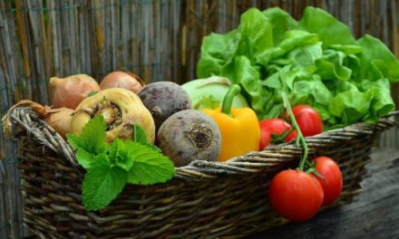 Dieta dr Ewy Dąbrowskiej, czyli warzywno-owocowy jadłospis